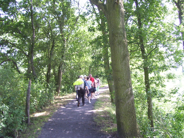 Wandeling langs de Nekker - 25 juni 2015