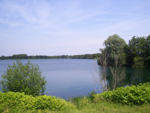 Wandeling langs de Nekker - 25 juni 2015