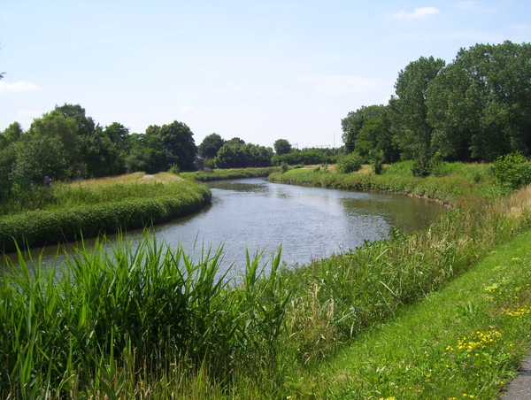 Wandeling langs de Nekker - 25 juni 2015