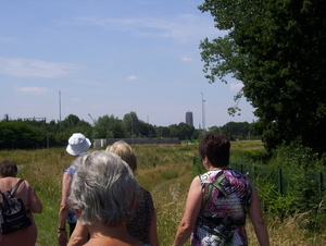 Wandeling langs de Nekker - 25 juni 2015