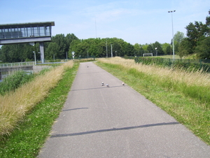 Wandeling langs de Nekker - 25 juni 2015