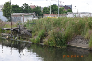 Fotoalbum afbraak Lobroekdok (20)