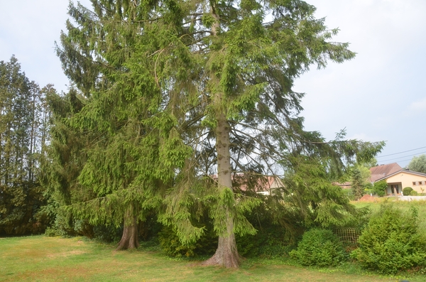 001   ...... ONDERWEG .......