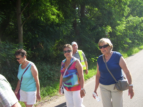 Wandeling langs het bos - 2 juli 2015