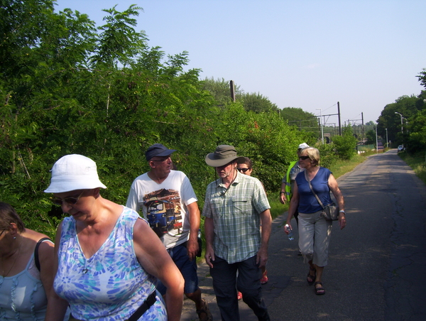 Wandeling langs het bos - 2 juli 2015