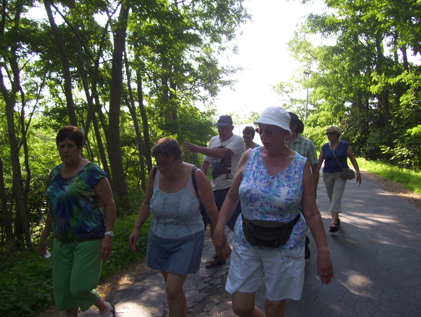 Wandeling langs het bos - 2 juli 2015