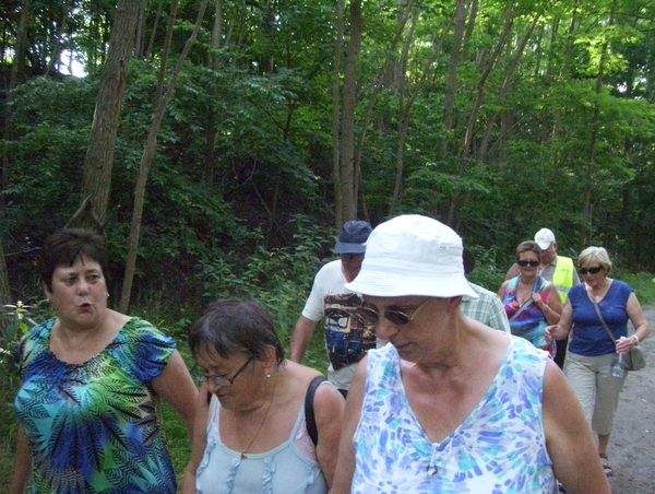 Wandeling langs het bos - 2 juli 2015