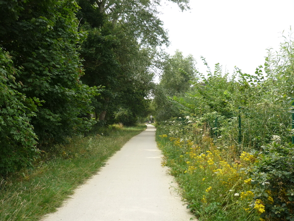 150812 ASSEBROEK oude spoorlijn