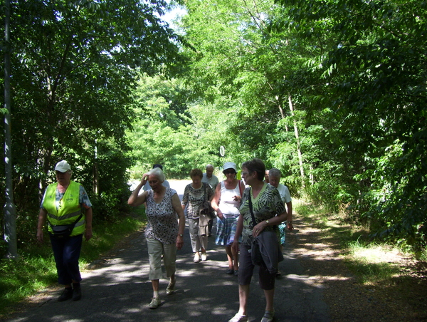 Maandagwandeling langs Montreal - 6 juli 2015