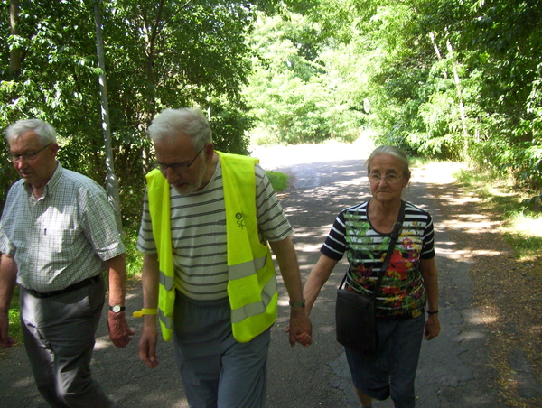 Maandagwandeling langs Montreal - 6 juli 2015