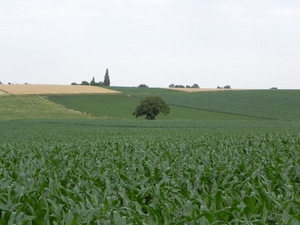 Westouter - tweebergenwandeling