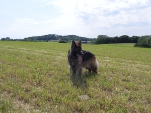 Westouter - tweebergenwandeling