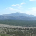 SAM_6673