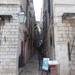 SAM_6869