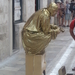 SAM_6873