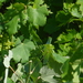 SAM_0404