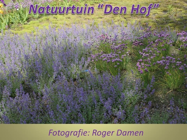 Natuurtuin Den Hof