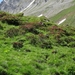 3a Flimjoch(2753m)--Idalpe wandeling _DSC00010