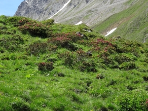 3a Flimjoch(2753m)--Idalpe wandeling _DSC00010