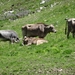 3a Flimjoch(2753m)--Idalpe wandeling _DSC00013