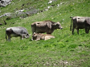 3a Flimjoch(2753m)--Idalpe wandeling _DSC00013