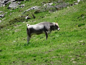 3a Flimjoch(2753m)--Idalpe wandeling _DSC00014