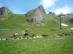 3a Flimjoch(2753m)--Idalpe wandeling _P1220051