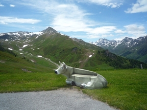 3a Flimjoch(2753m)--Idalpe wandeling _P1220060