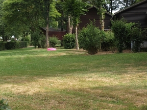 P7077622