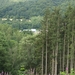 P7077624