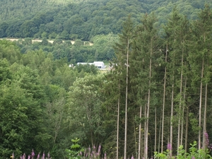 P7077624
