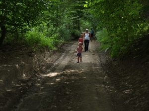 P7077638