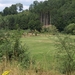 P7097688