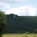 P7097690
