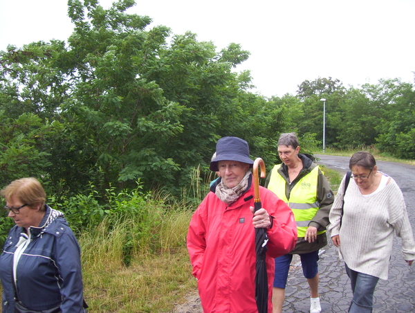 Boswandeling naar Montreal - 13 juli 2015