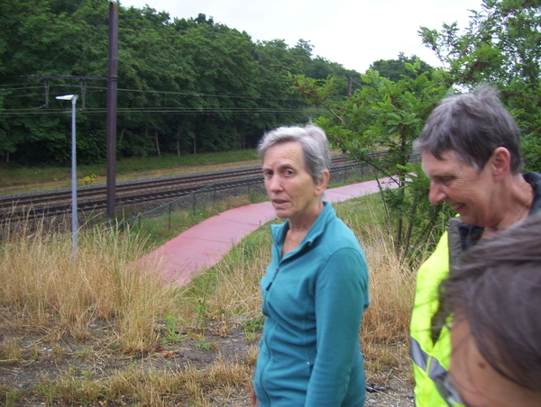 Boswandeling naar Montreal - 13 juli 2015