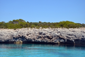 052 Menorca Cal 'n Bosch Bootuitstap