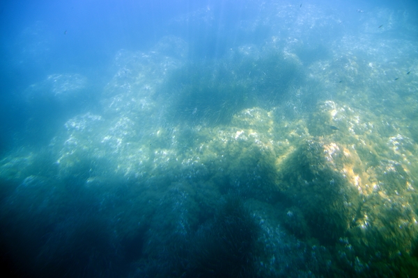 151 Menorca  Mahon haven boottocht