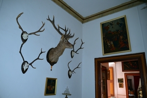 291 Menorca Ciutadella Olivar Palace