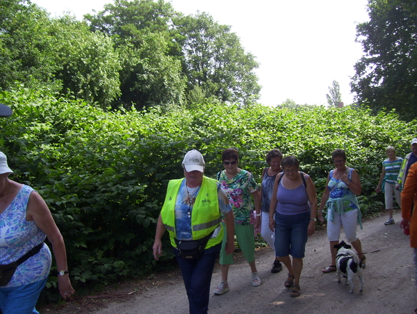 Wandeling langs Borgersteinpark - 16 juli 2015