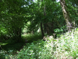 Wandeling langs Borgersteinpark - 16 juli 2015