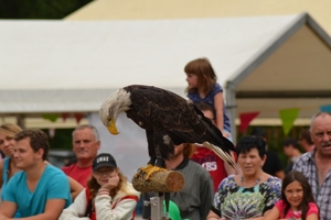 Oogstfeest Metseren 2013 - 009