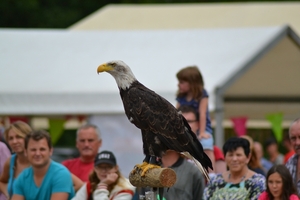 Oogstfeest Metseren 2013 - 010