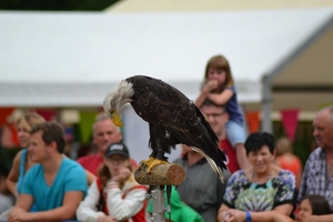 Oogstfeest Metseren 2013 - 011