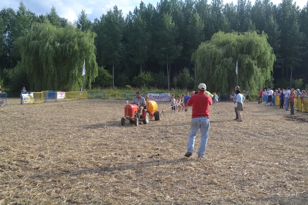 Oogstfeest Metseren 2013 - 123