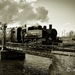 IMG_7127-Edit-Edit