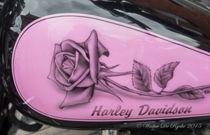 harley-85