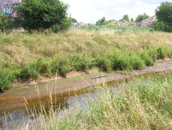 Wandeling langs Bonheiden - 23 juli 2015