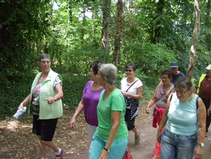 Wandeling langs Bonheiden - 23 juli 2015