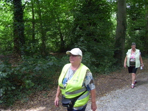 Wandeling langs Bonheiden - 23 juli 2015